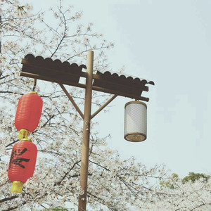 人妻制服出轨中字在线
