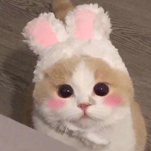 人妻制服出轨中字在线
